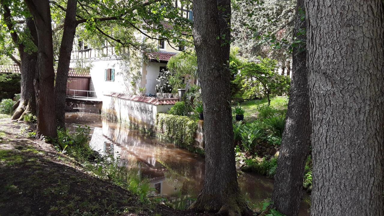 Hotel-Restaurant Bergmuehle Neudrossenfeld Buitenkant foto